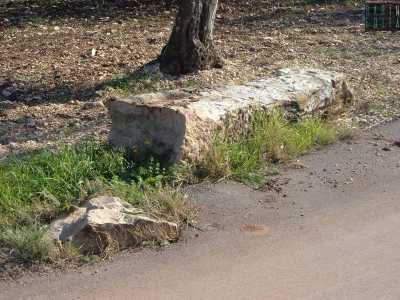 Nel giugno 2006 il menhir fu per� danneggiato e gettato per terra da ignoti. E il mese dopo qualcuno cerc� con un camion di portarselo via: un furto che fu sventato dai carabinieri di Trani. Questo fino al suo definitivo trafugamento, avvenuto nel 2007 (foto di Pasquale Fallacara)